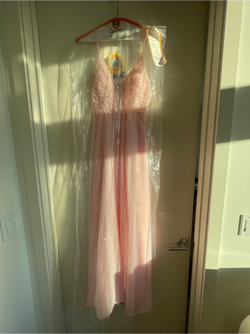 Light Pink Gown with Mesh Lace